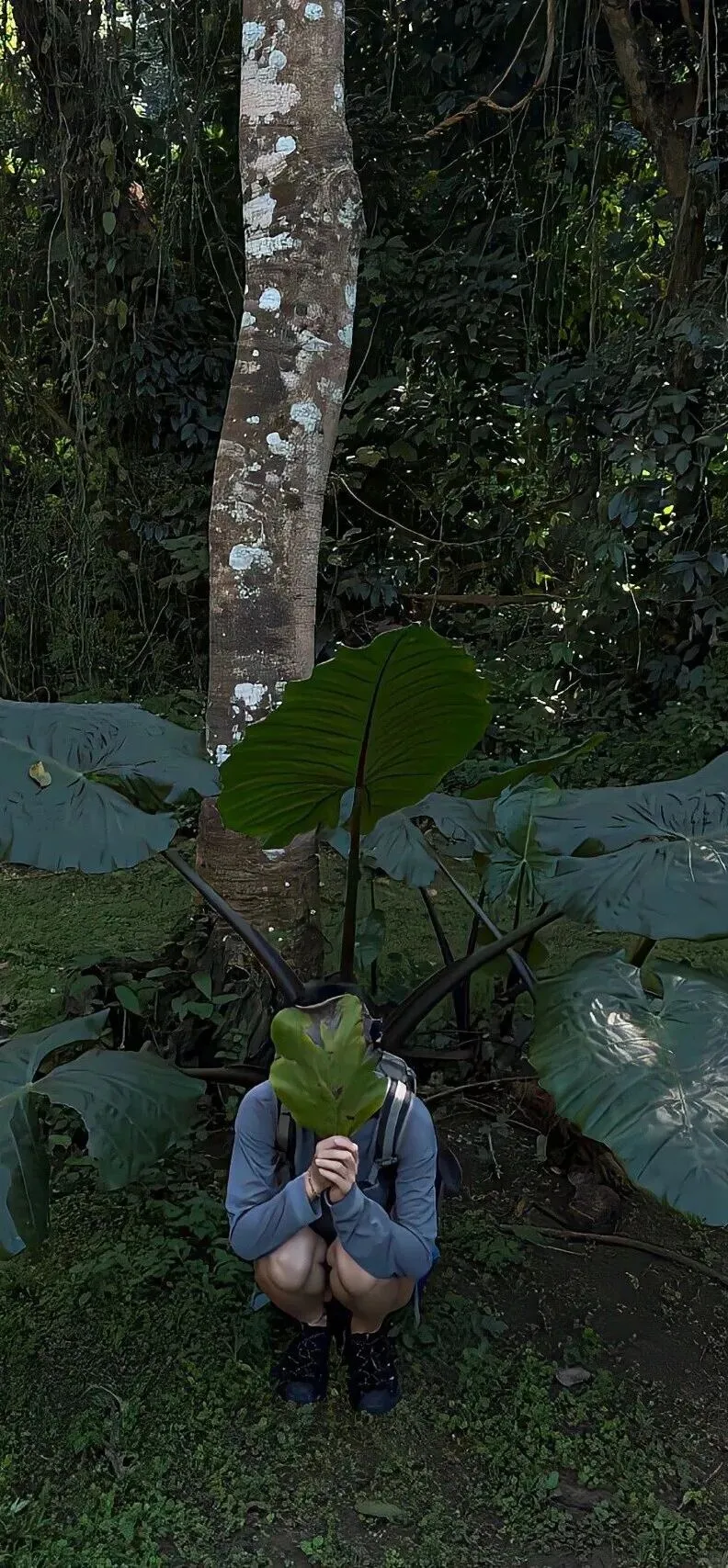 𝐒𝐡𝐚𝐫𝐞 | ins风全屏壁纸