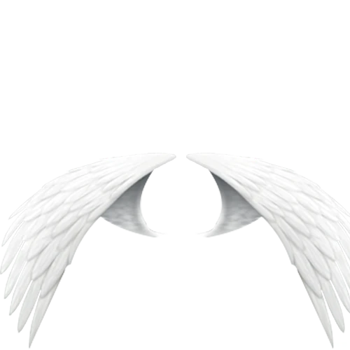 特效素材｜白色翅膀羽毛天使png后期贴图