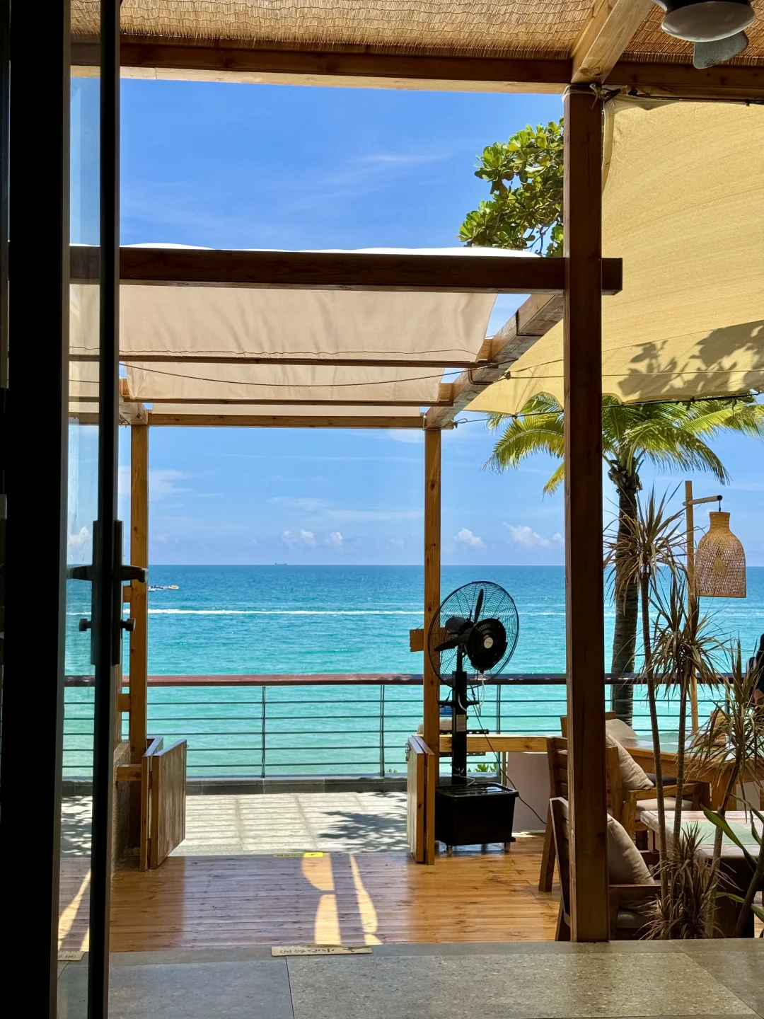 吹海边的风～🥥