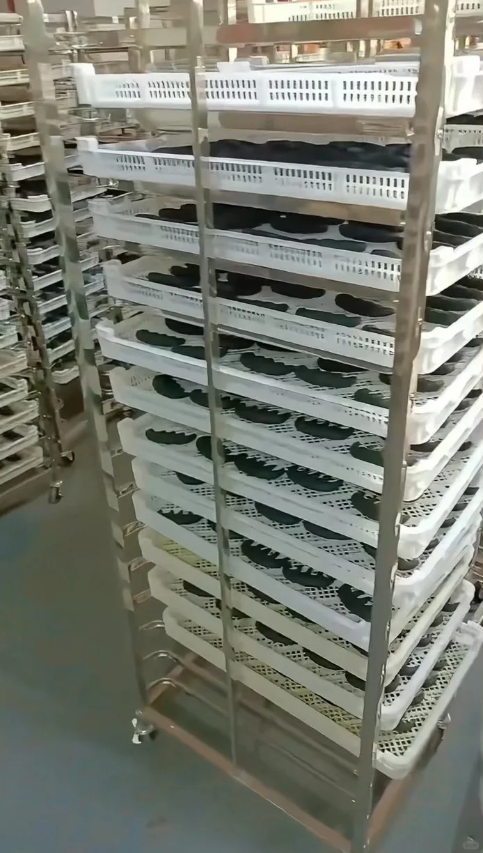 想要回馈粉丝宝宝，无偿体验中药🌿梳子