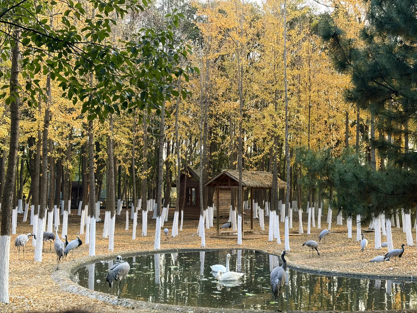 好喜欢我的下颚骨