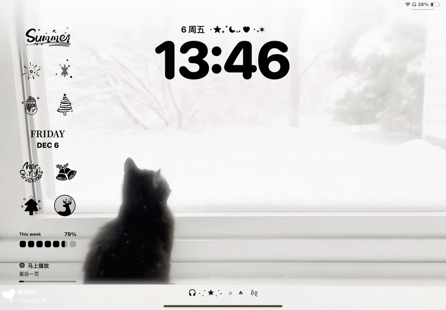 A cat in the snow❄️丨壁纸