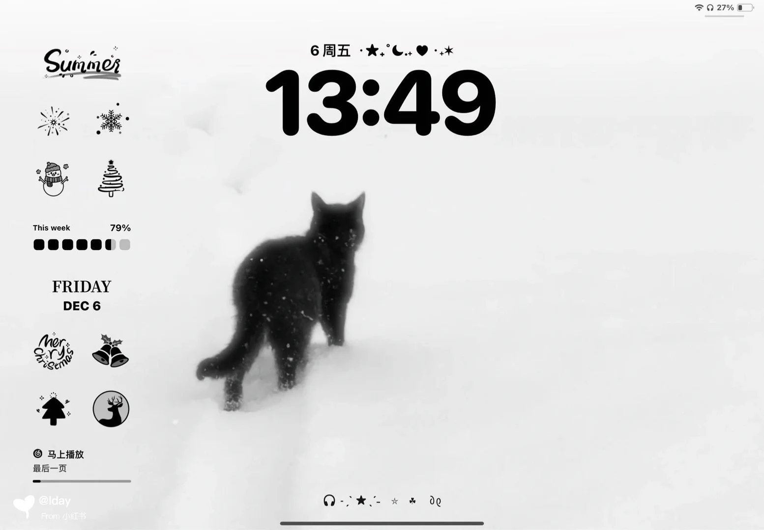 A cat in the snow❄️丨壁纸