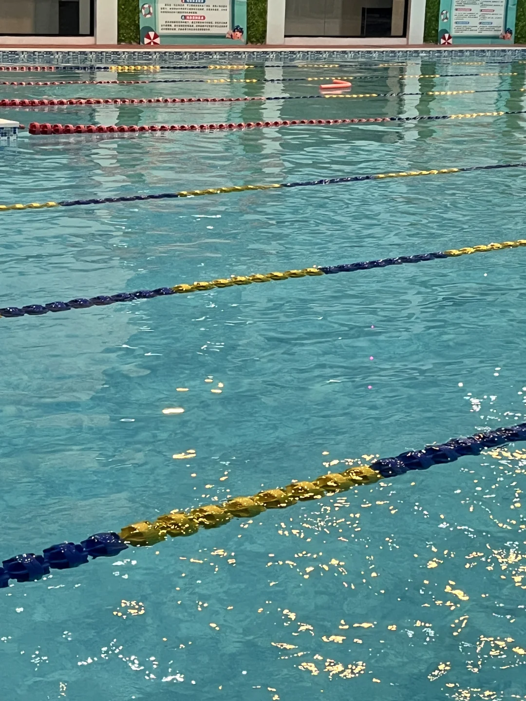 游泳日 ｜ 好久没游了、今天游的很爽