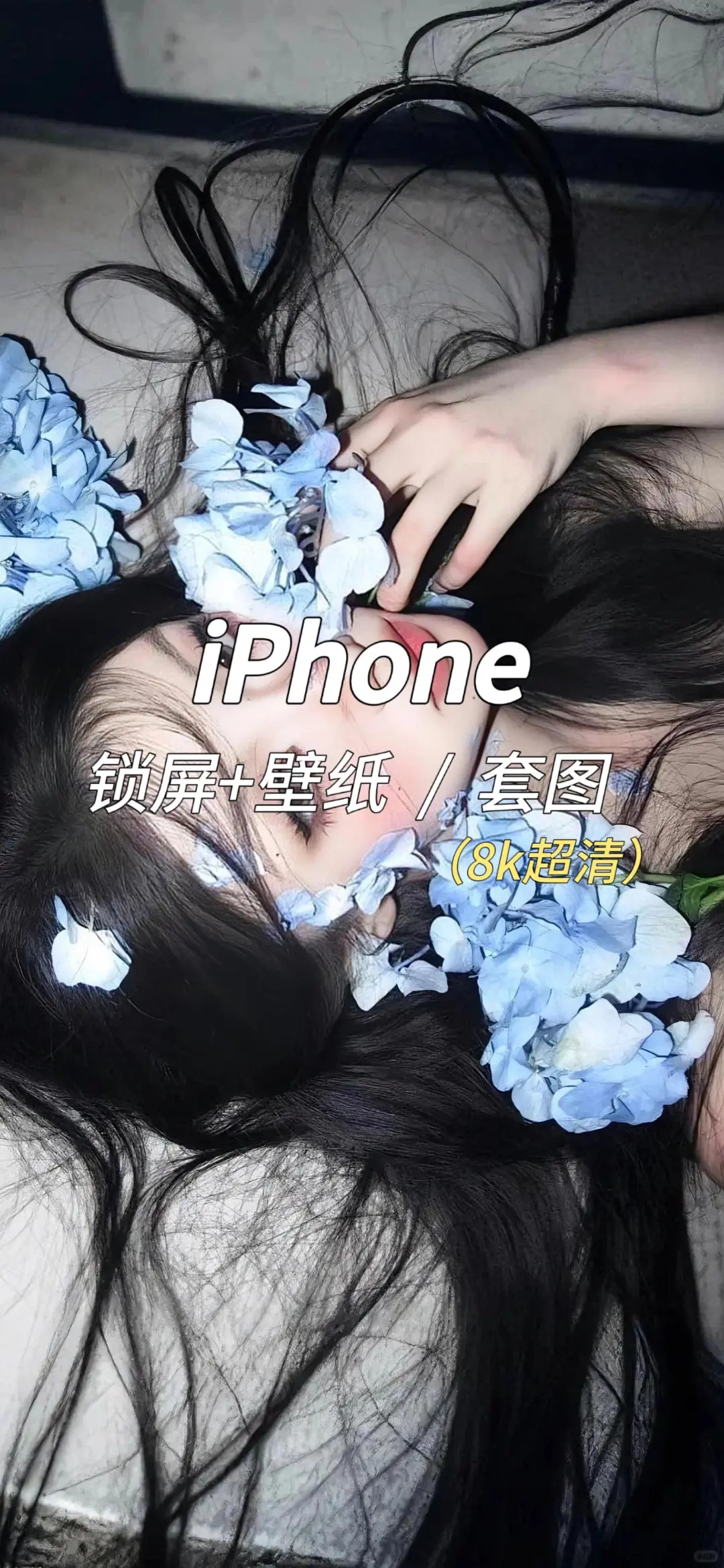 WeChat｜好喜欢我的壁纸！！！