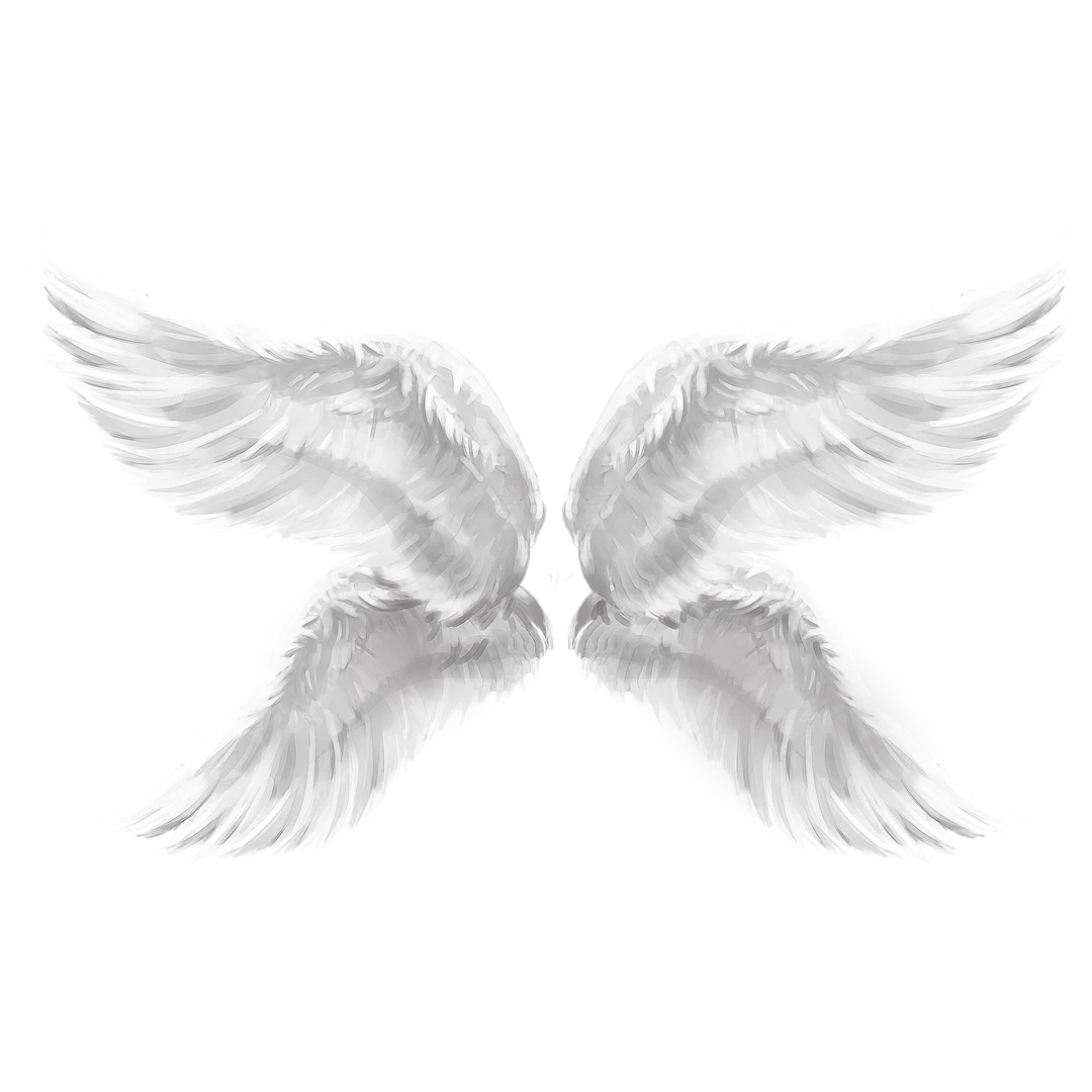 特效素材｜白色翅膀羽毛天使png后期贴图
