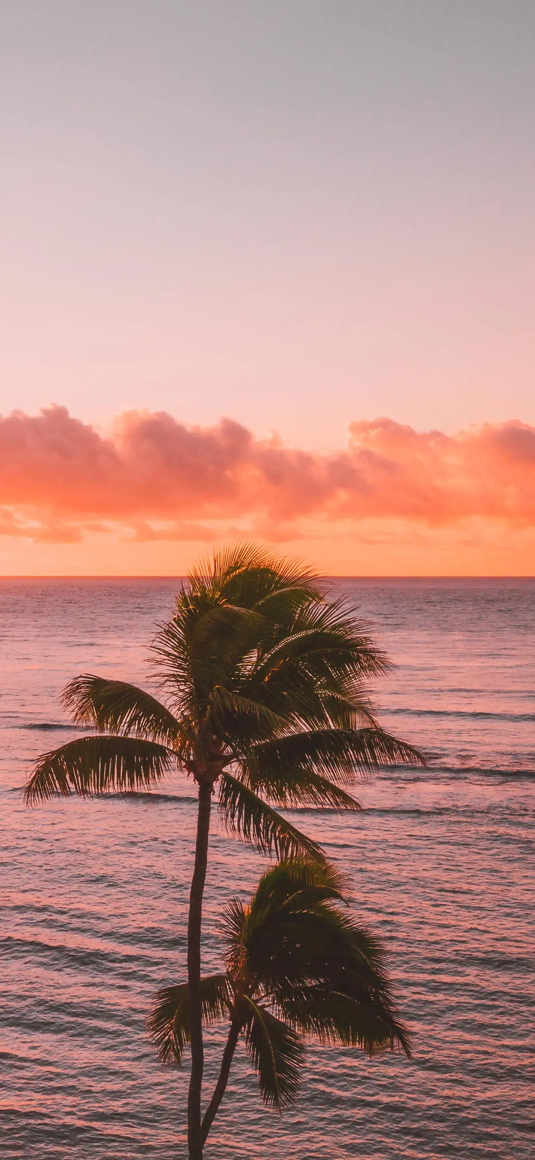 iPhone壁纸｜小众氛围感风光⛰️