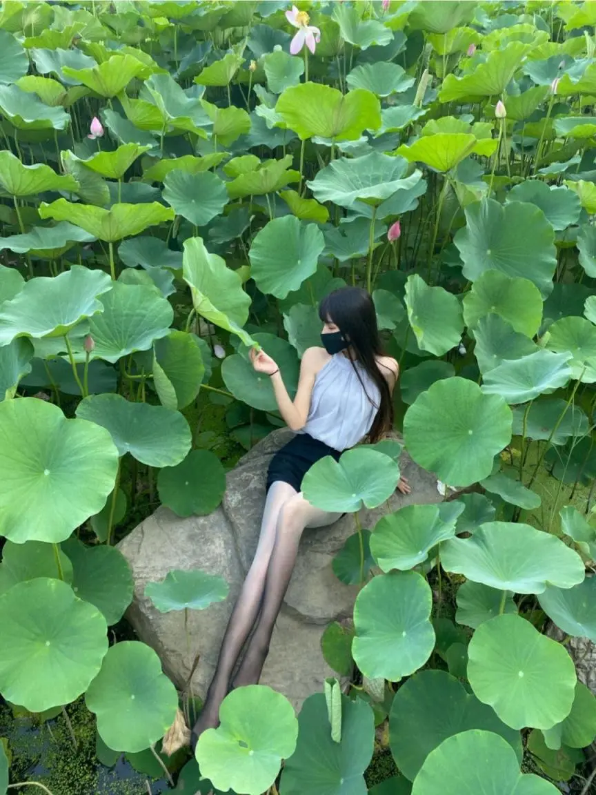 壁纸分享第六十二弹