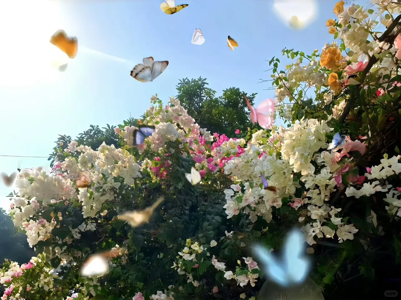 零零散散的ipad壁纸来喽