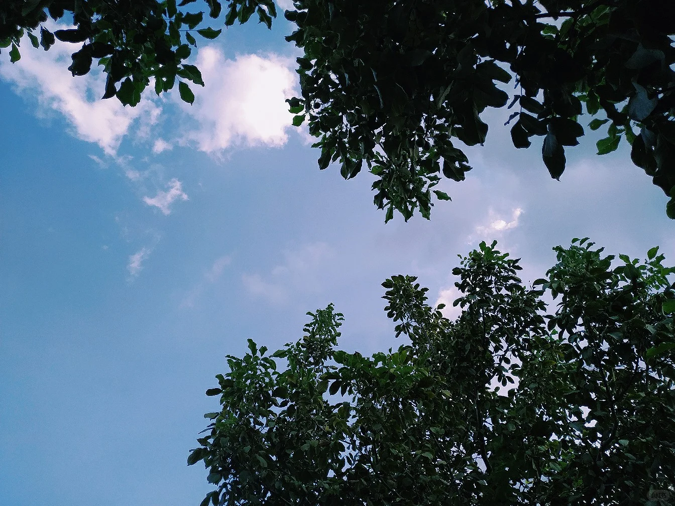 高清壁纸‖happy days