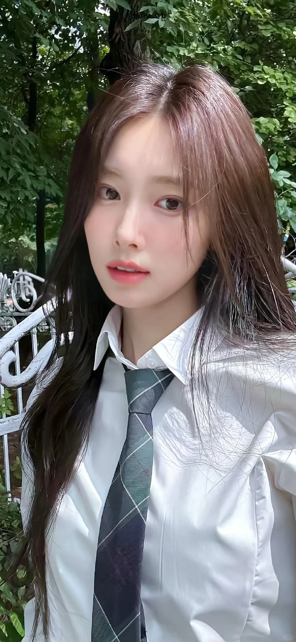 WeChat｜姜惠元壁纸大放送！🎉