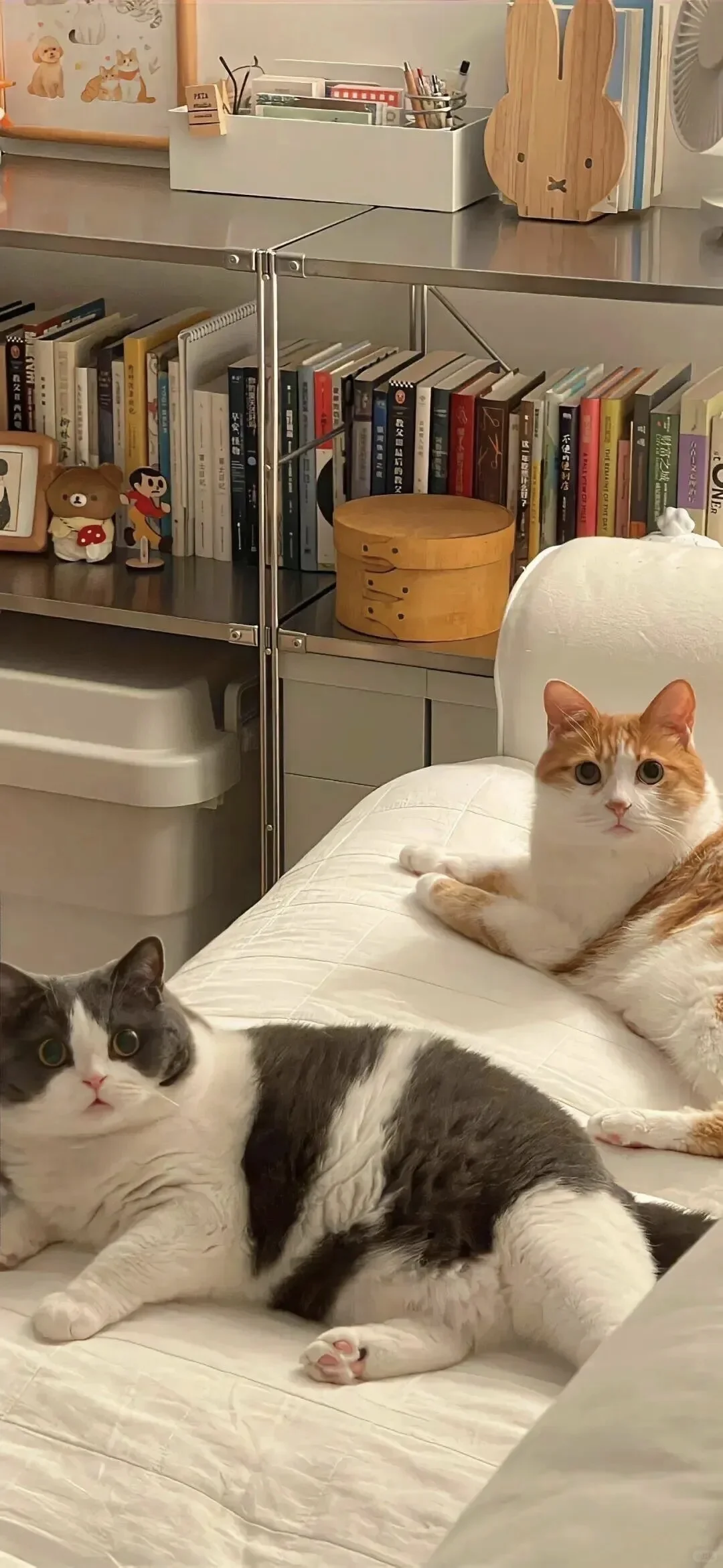 ins风小众氛围感壁纸分享❄