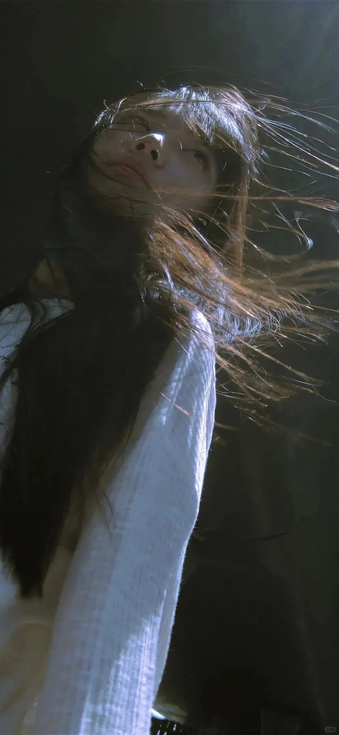 真的太温柔了这条呀！白月光！