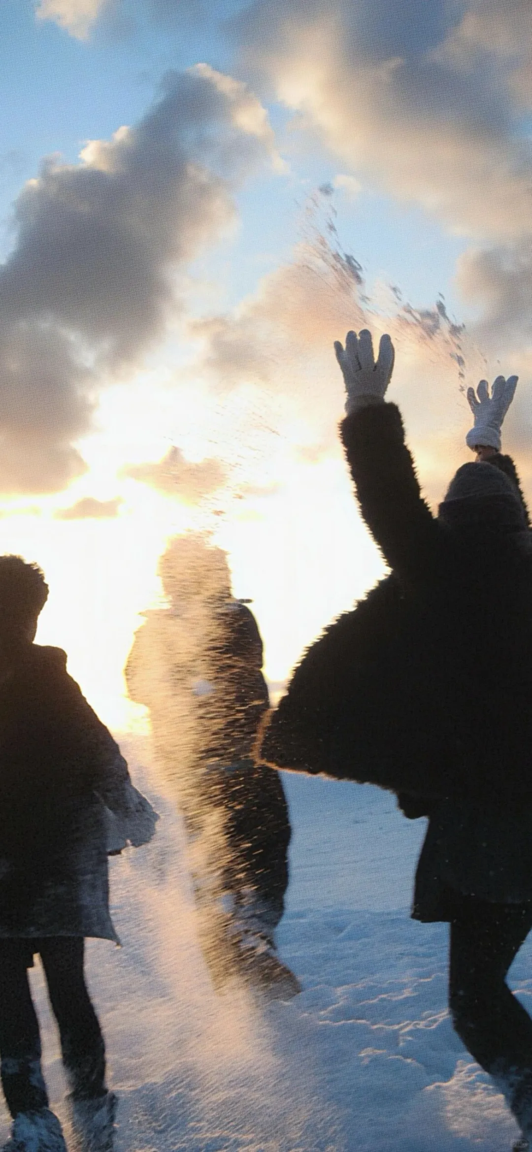 每日壁纸｜🐶🐶🐶