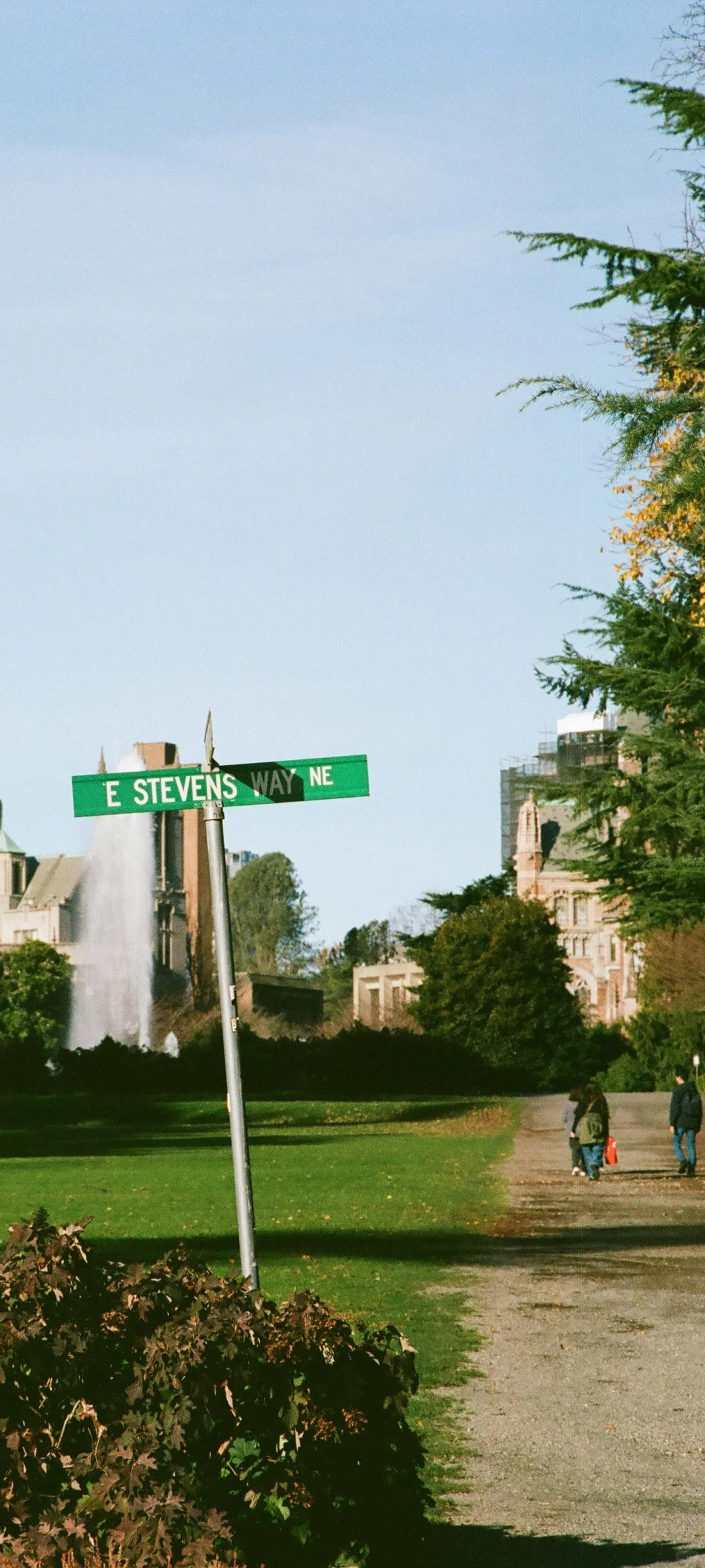 氛围感拉满！解锁手机桌面的高级松弛感！！