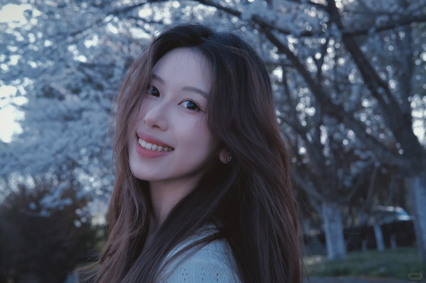 不必因为自己长得不够网感而自卑🦋