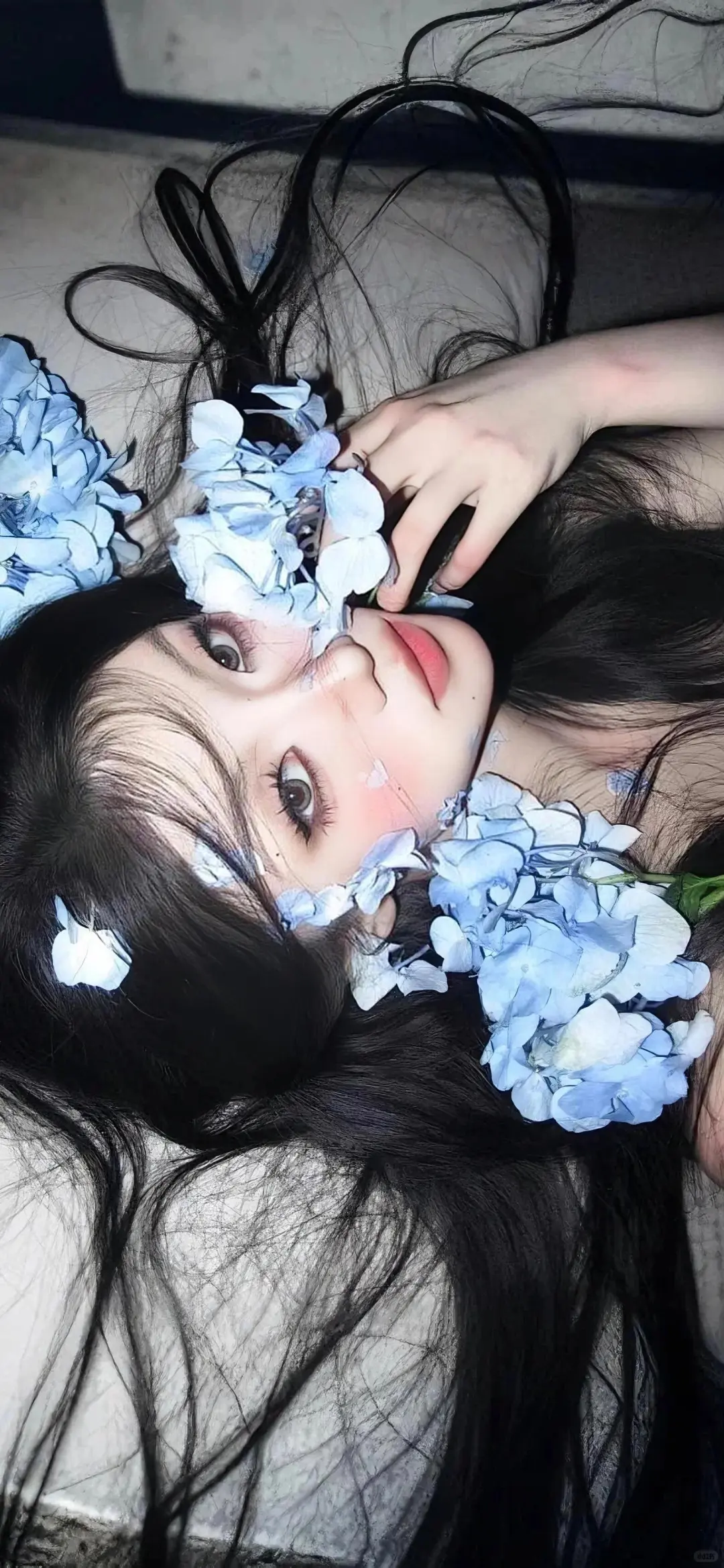 WeChat｜好喜欢我的壁纸！！！