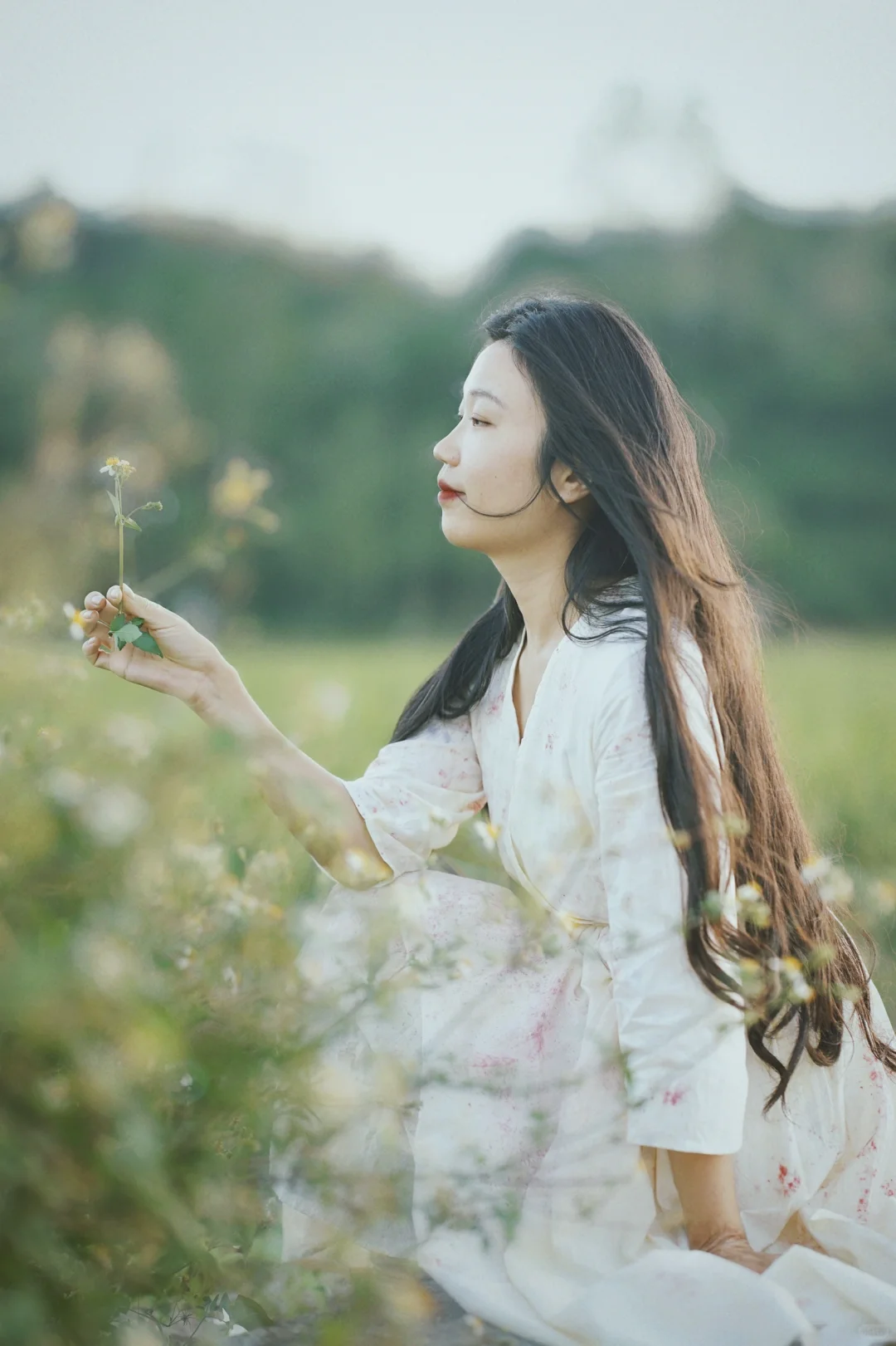 植物染｜我的“自我” 永远滋滋作响