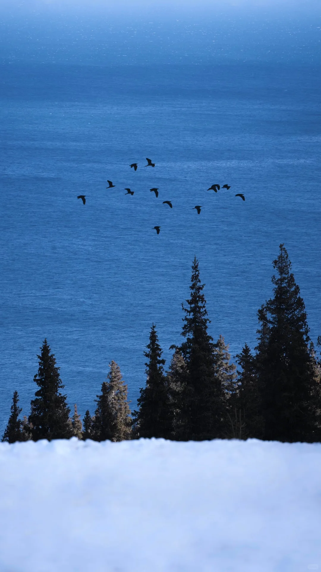 𝐖𝐚𝐥𝐥𝐚𝐩𝐚𝐩𝐞𝐫｜ins风壁纸