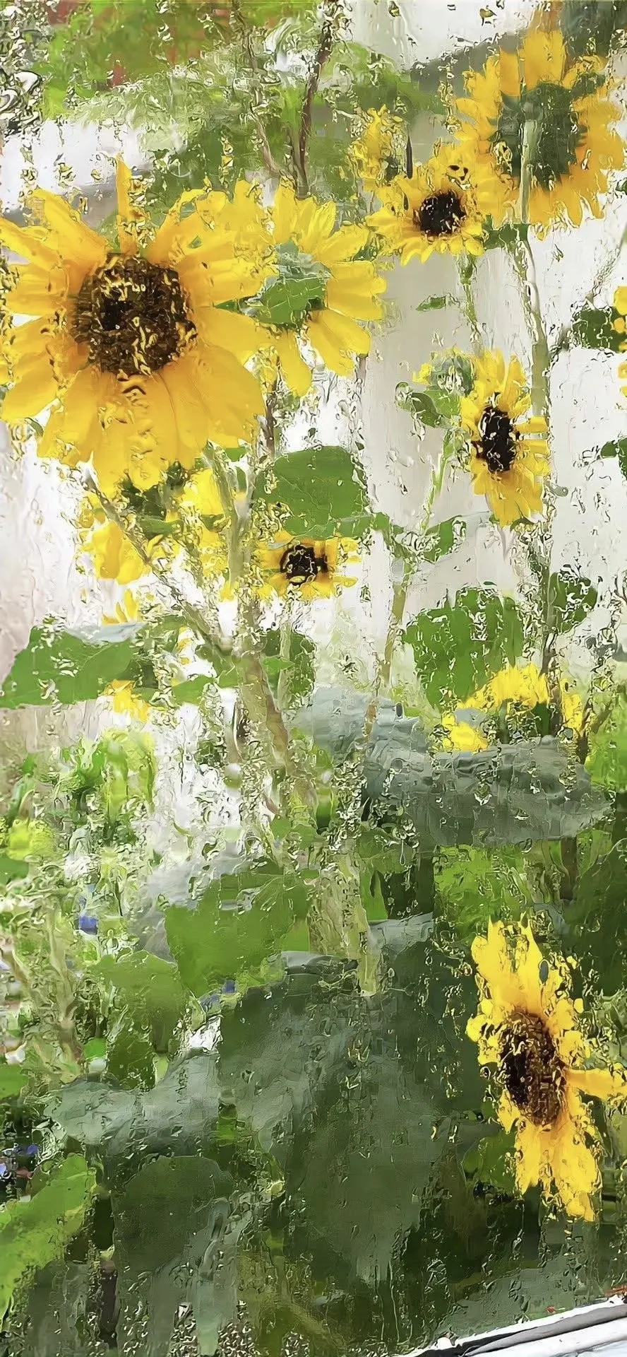 ins风小众氛围感壁纸分享☺