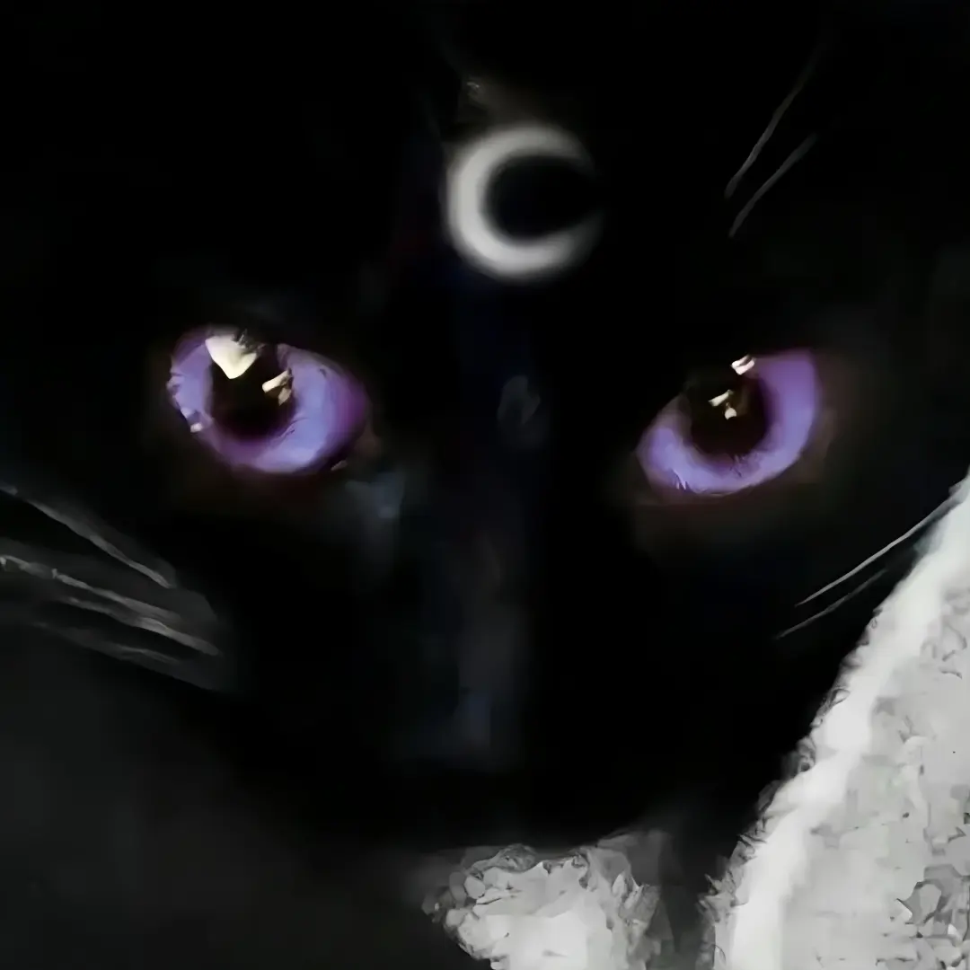 iPad壁纸｜每一张都很爱