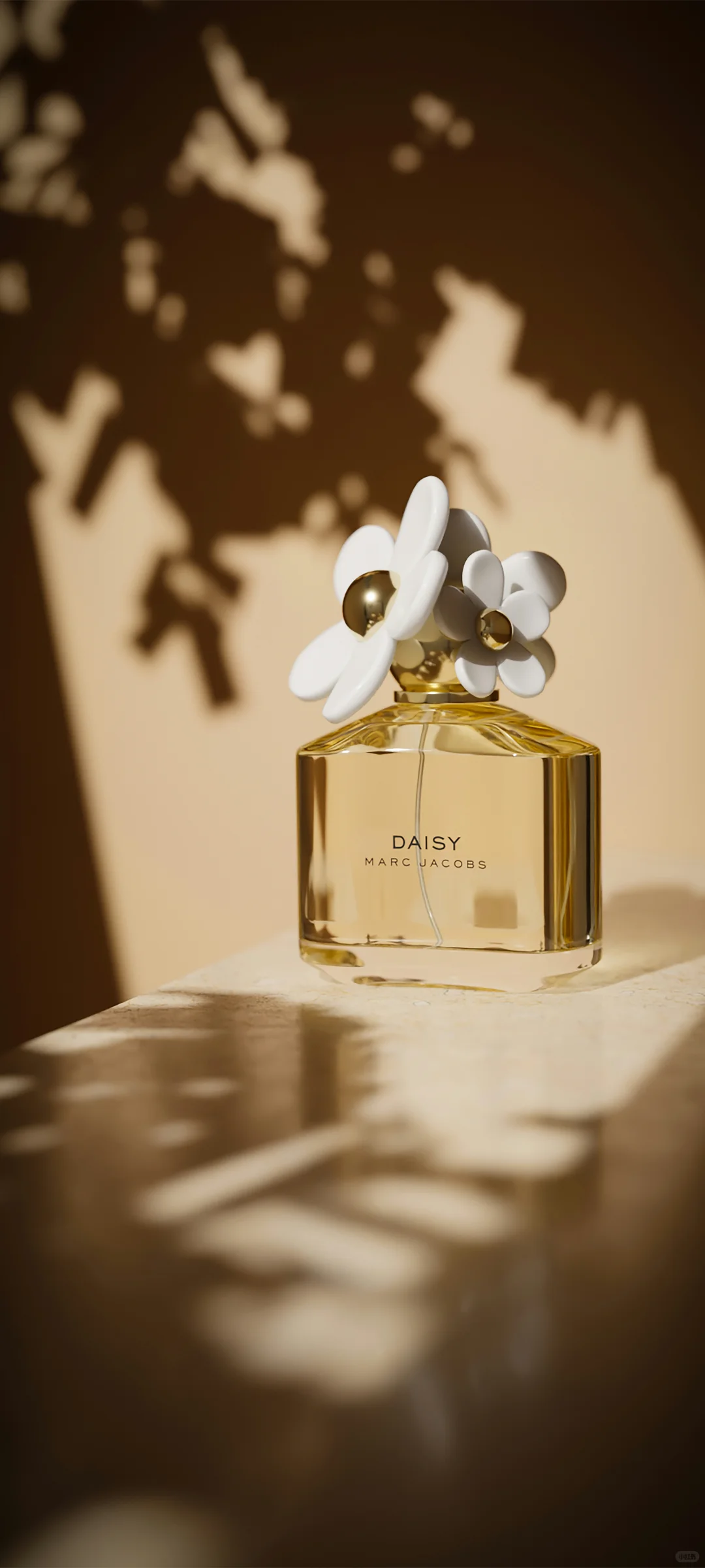 氛围感拉满！解锁手机桌面的高级松弛感！！