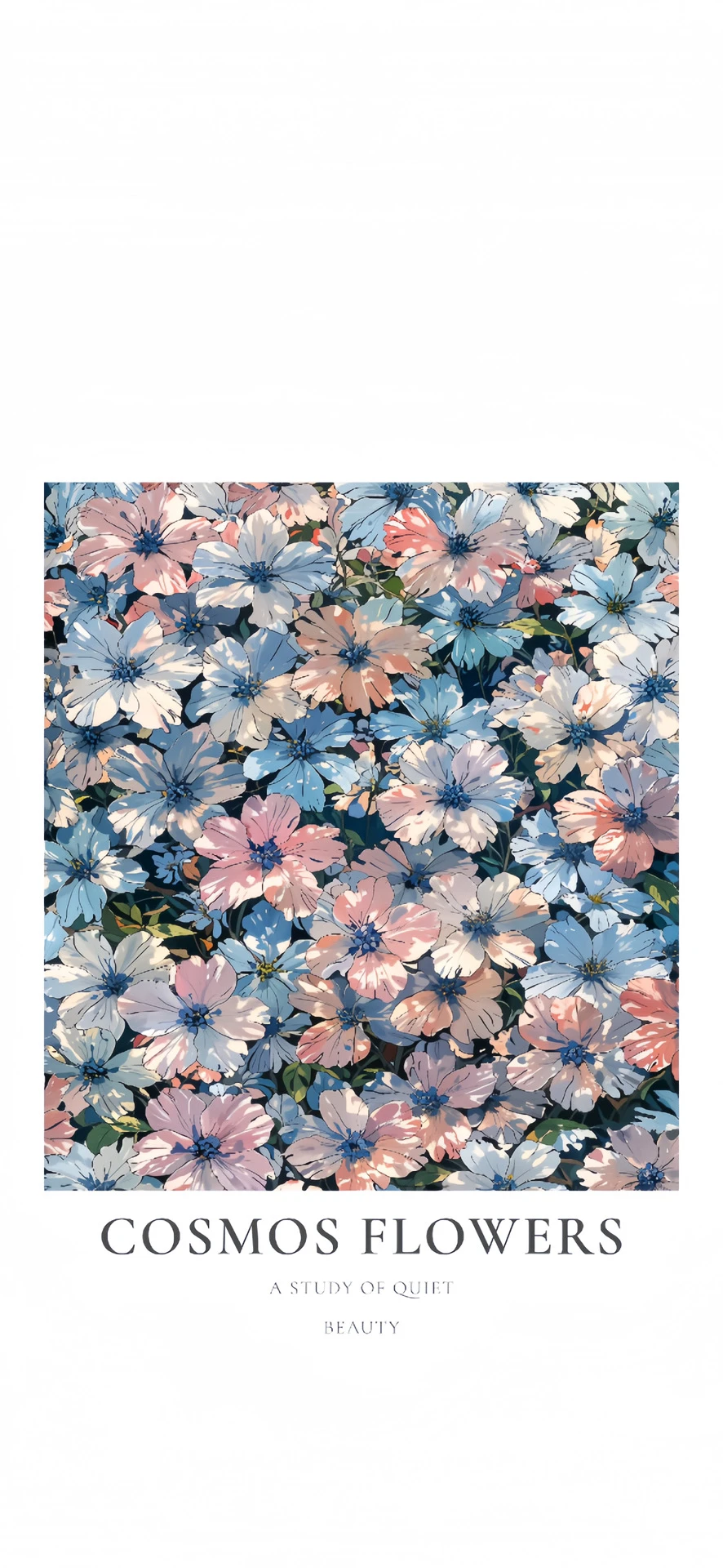 手机壁纸|高清壁纸 🍮