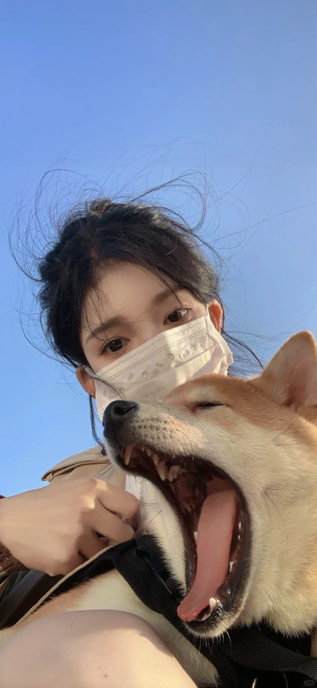 真的太温柔了这条呀！白月光！