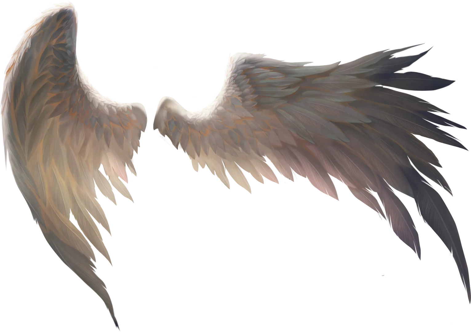 特效素材｜白色翅膀羽毛天使png后期贴图