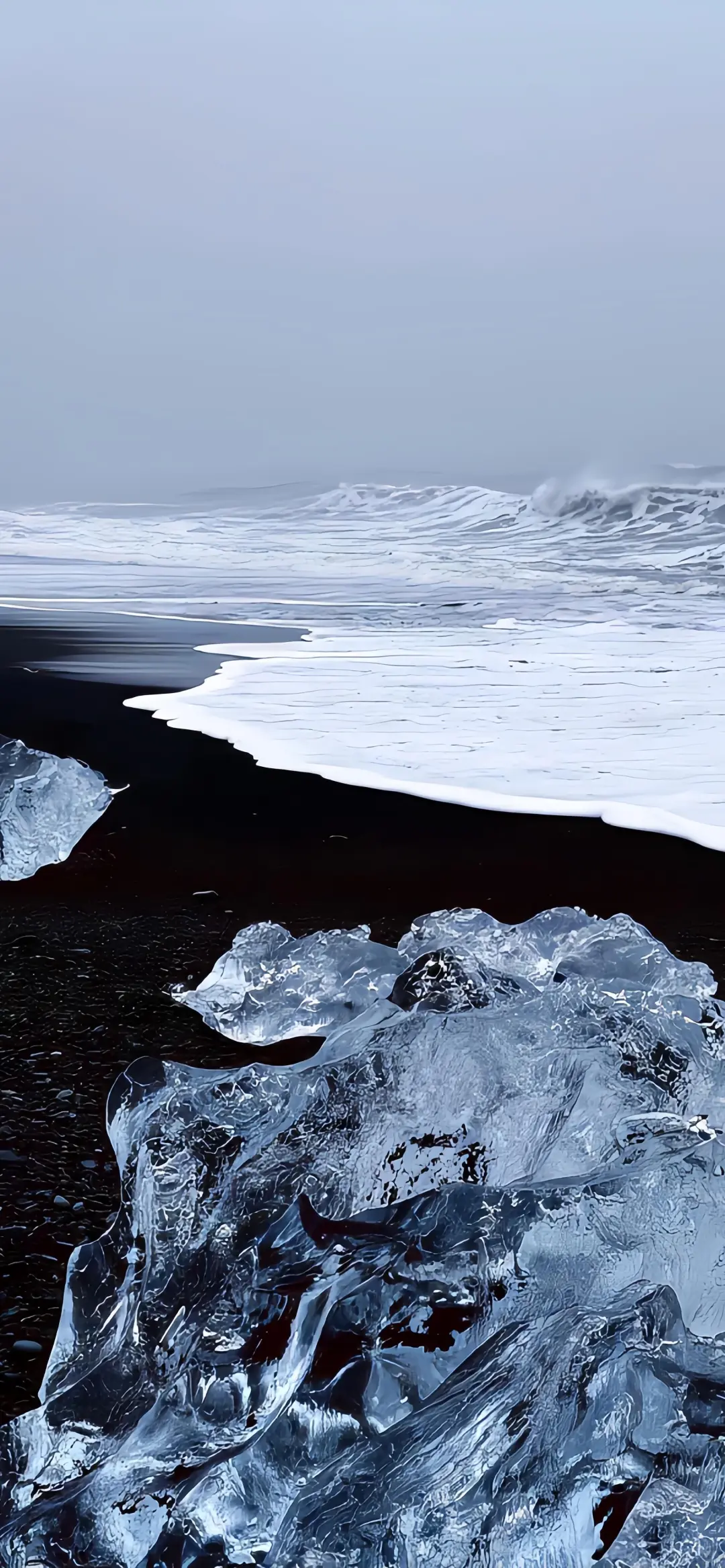 𝐒𝐡𝐚𝐫𝐞丨ins壁纸