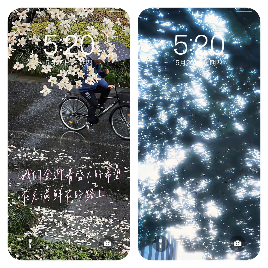 今天也是美好的一天