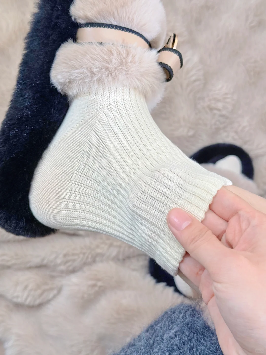 姐妹们想知道的｜一些好穿的基础袜🧦