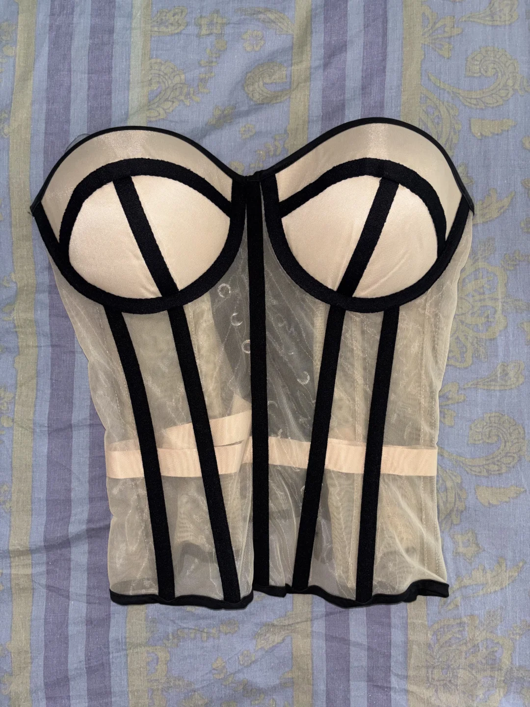 陆陆续续入的🎀鱼骨胸衣合集🛍️