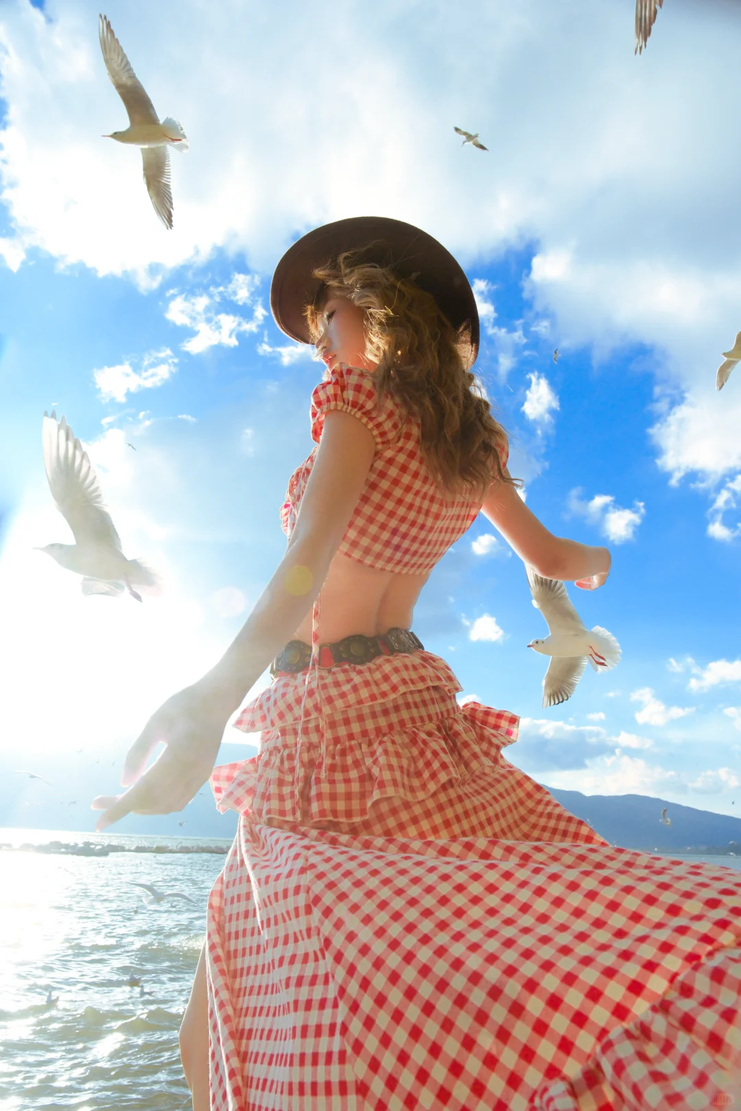 昆明海鸥 从不失约的白色天使🪽