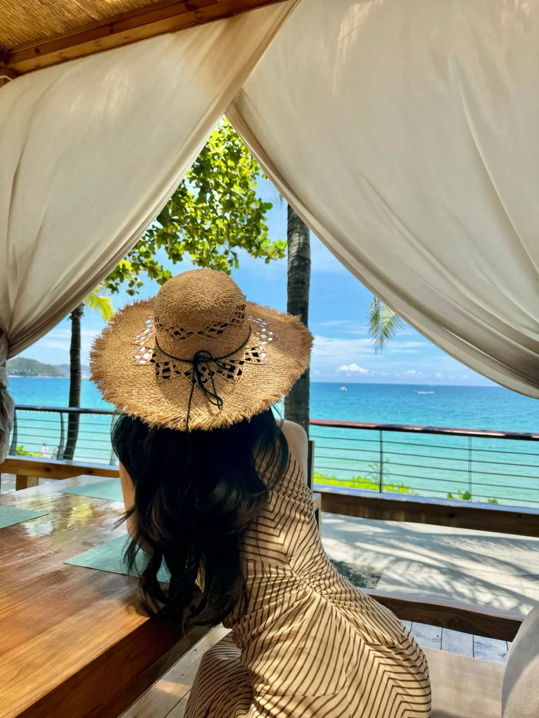 吹海边的风～🥥