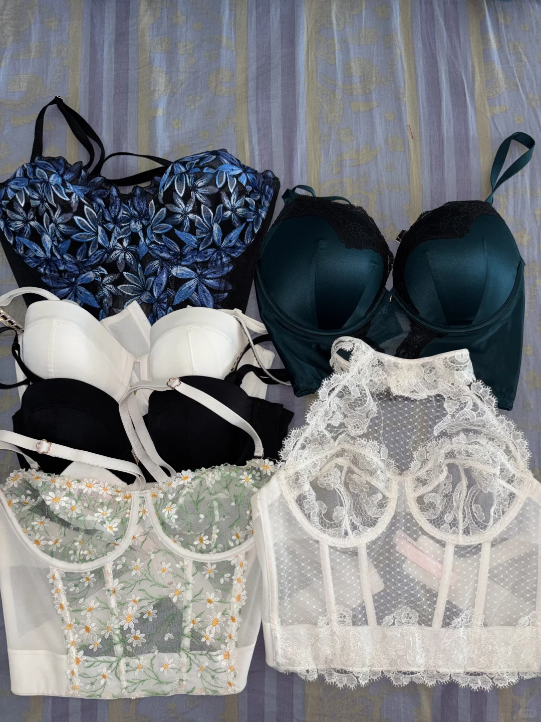 陆陆续续入的🎀鱼骨胸衣合集🛍️