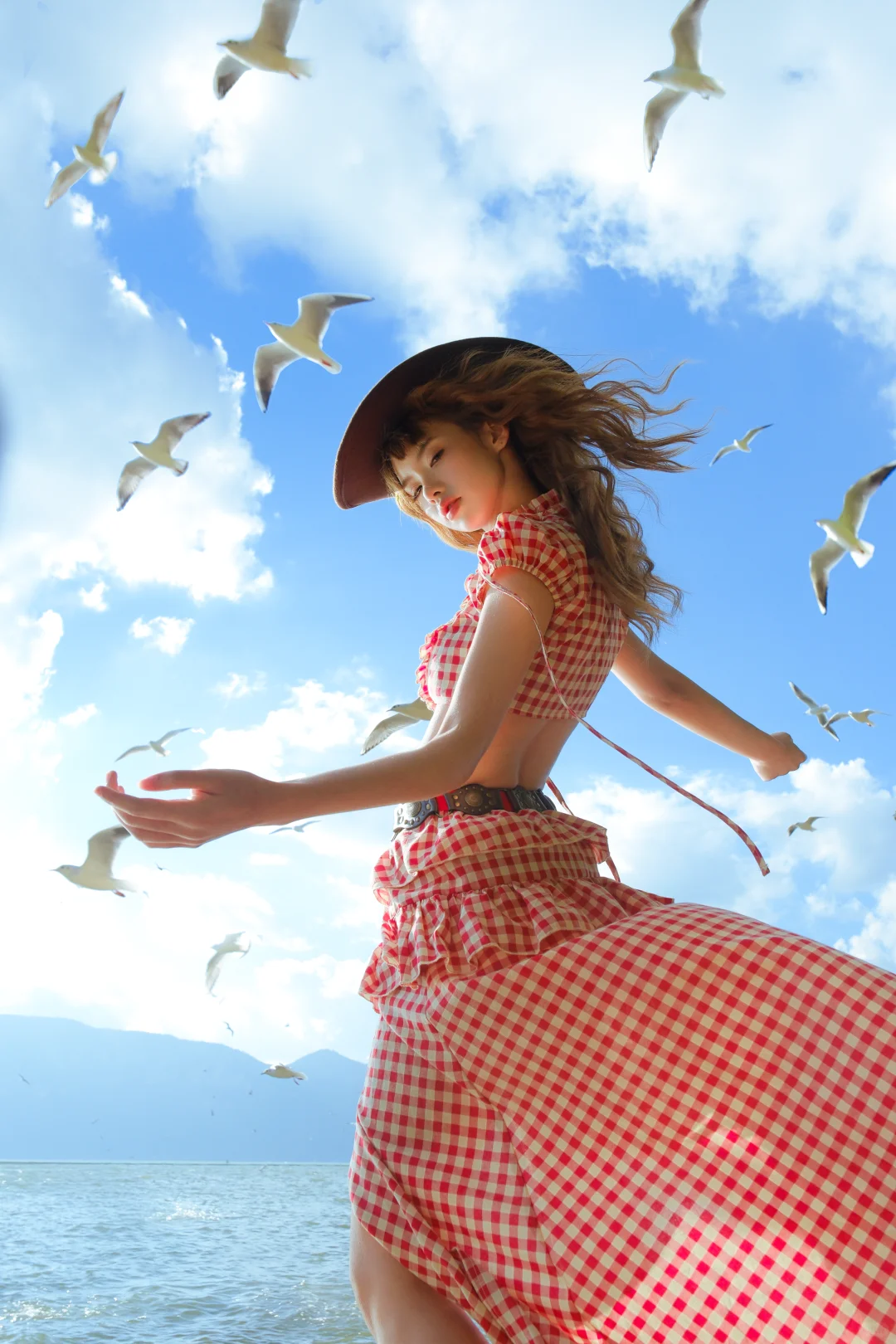 昆明海鸥 从不失约的白色天使🪽