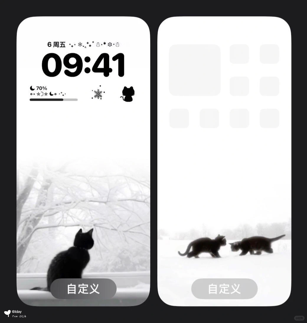 A cat in the snow❄️丨壁纸