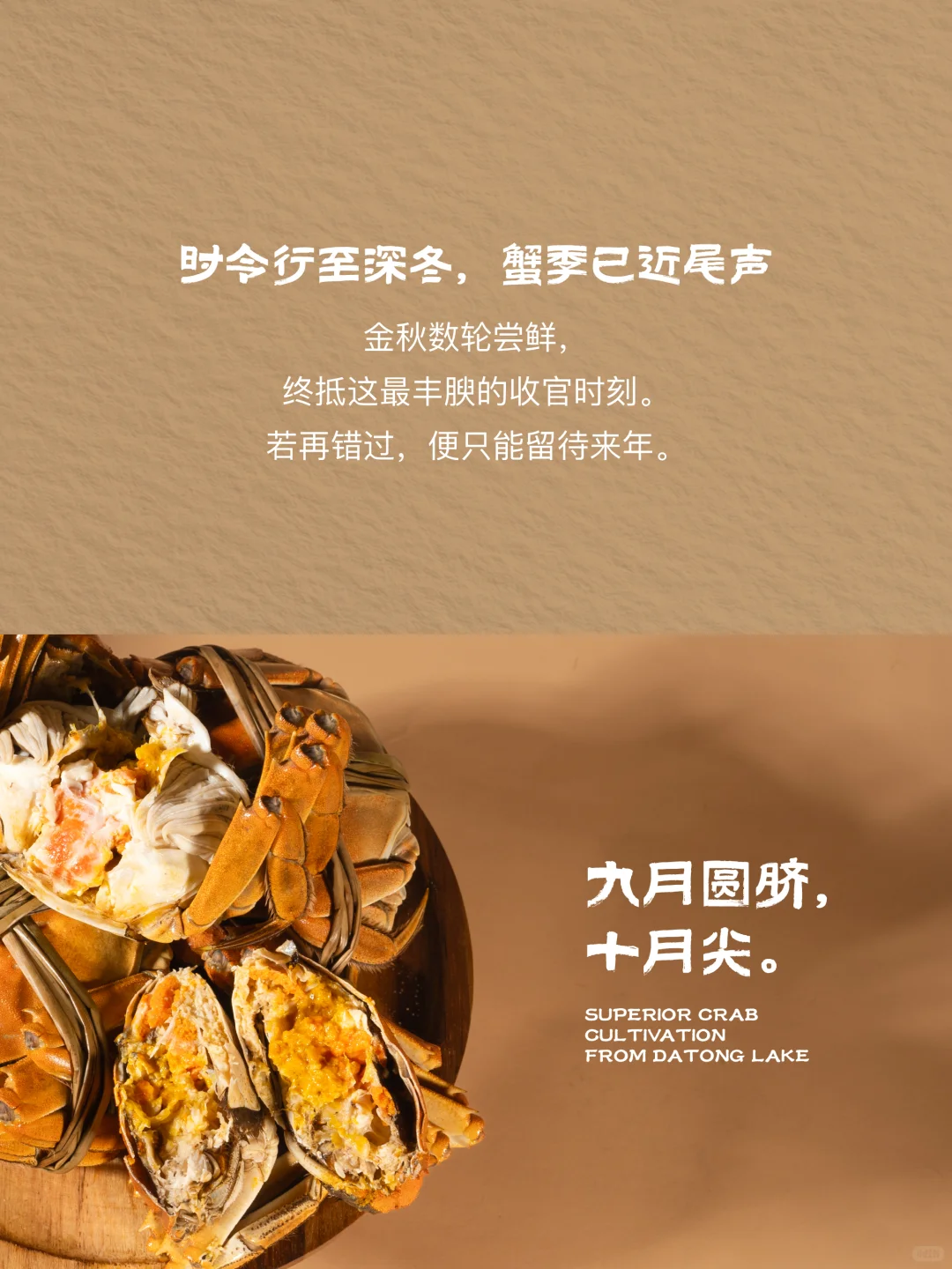 是谁还没抓住蟹季的尾巴？快！