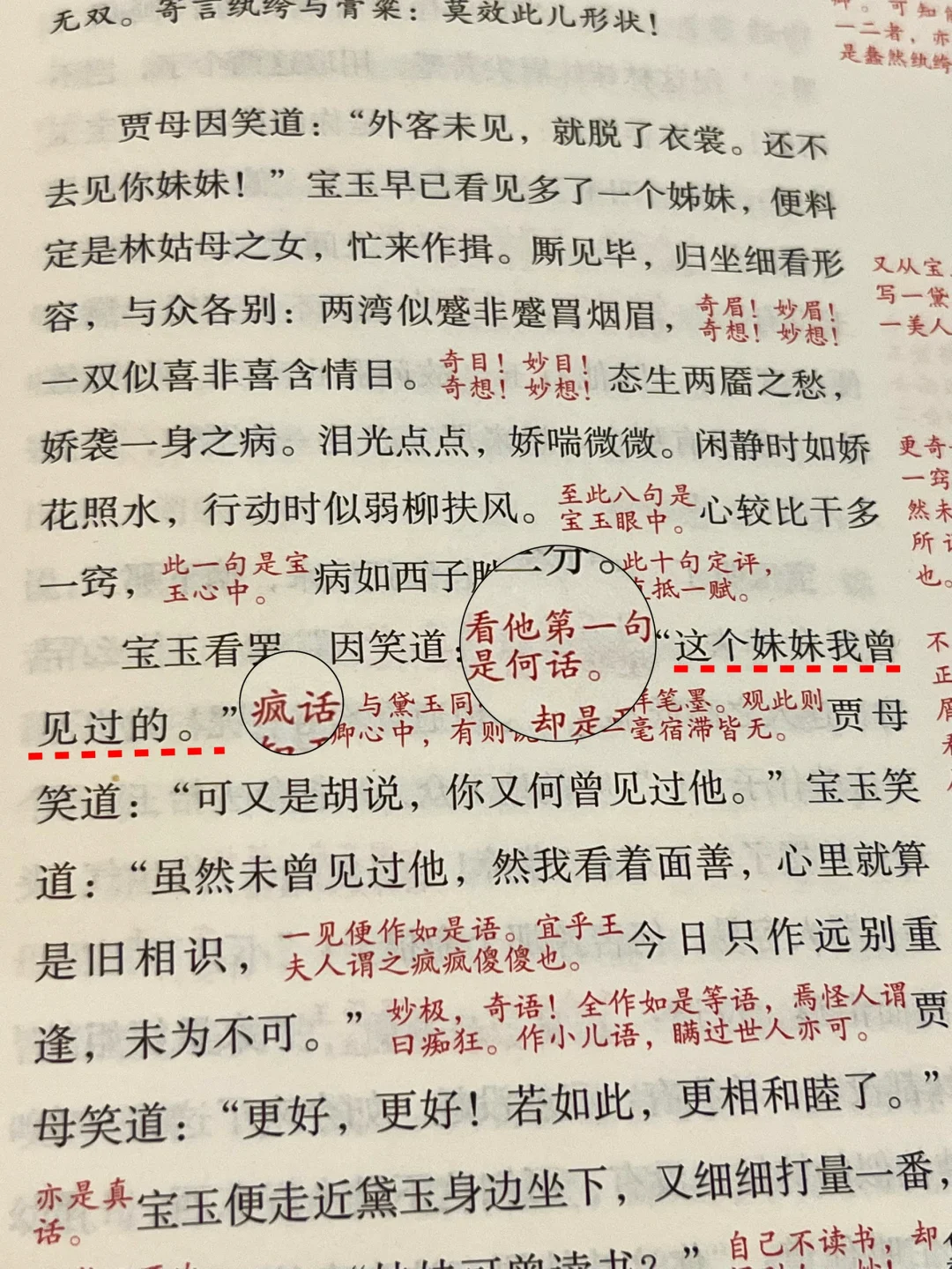 弹幕大神脂砚斋吐槽《红楼梦》