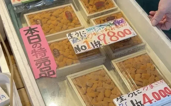 🦀️札幌二条市场海鲜分享避雷‼️