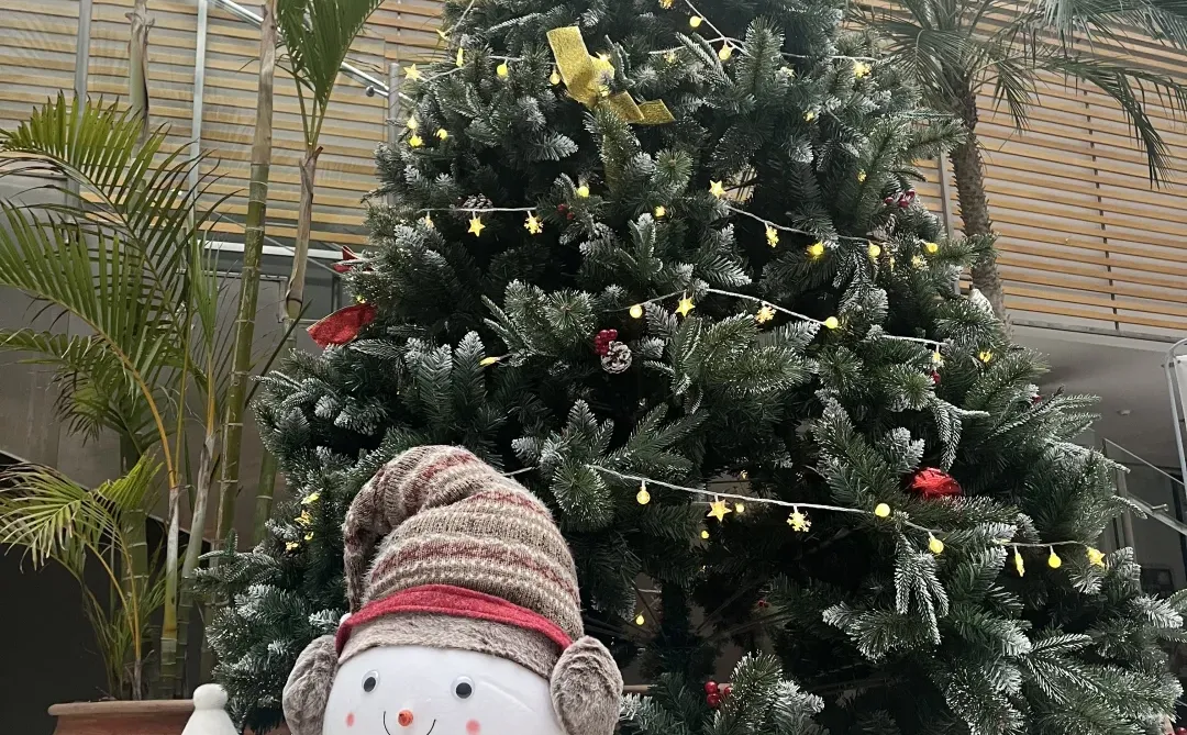 《意韵圣诞·味蕾盛宴》