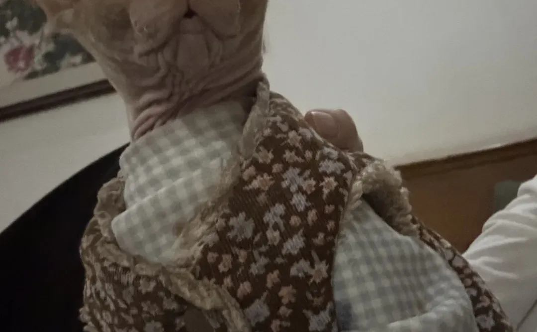 抛个媚眼没人介意吧