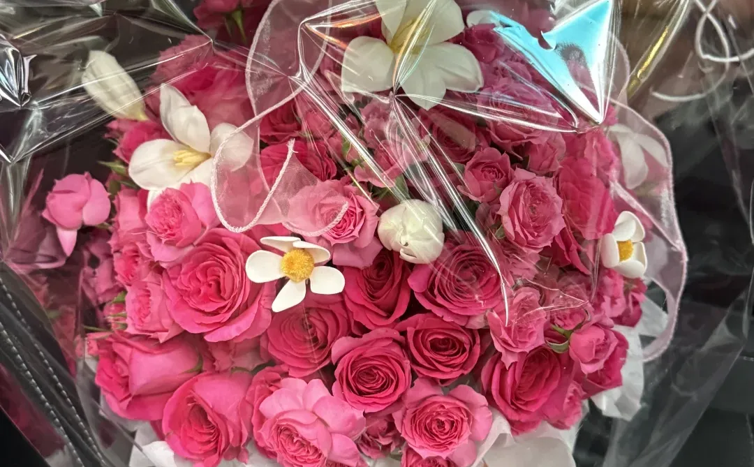 是娇艳的明媚的