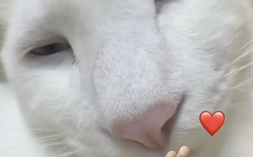 夜深了，闺儿，咱整点禁忌的🫦