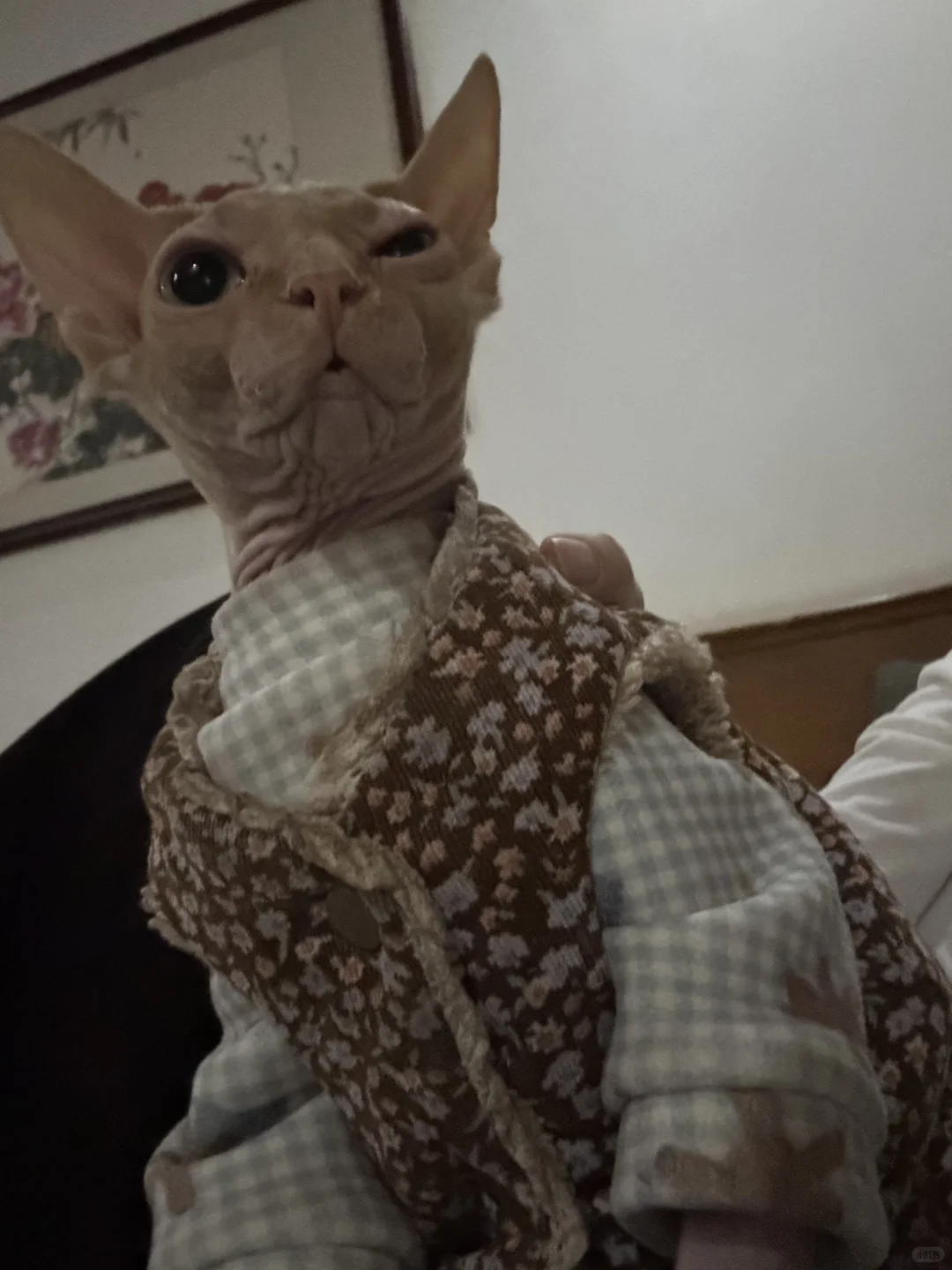 抛个媚眼没人介意吧