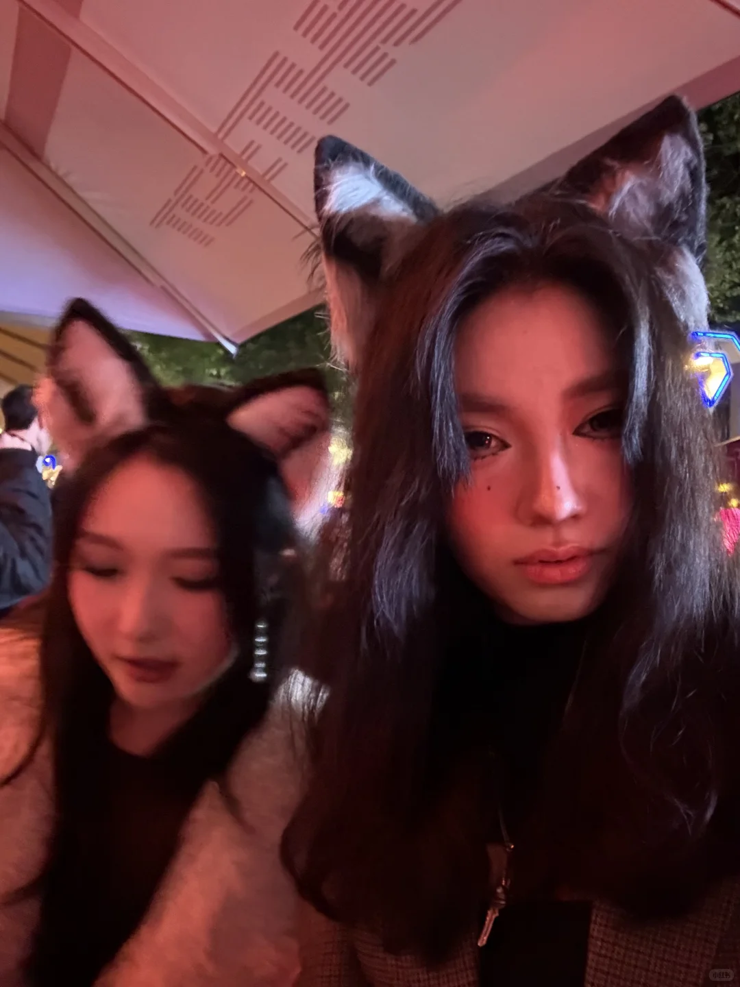 全成都的人都出门了吗