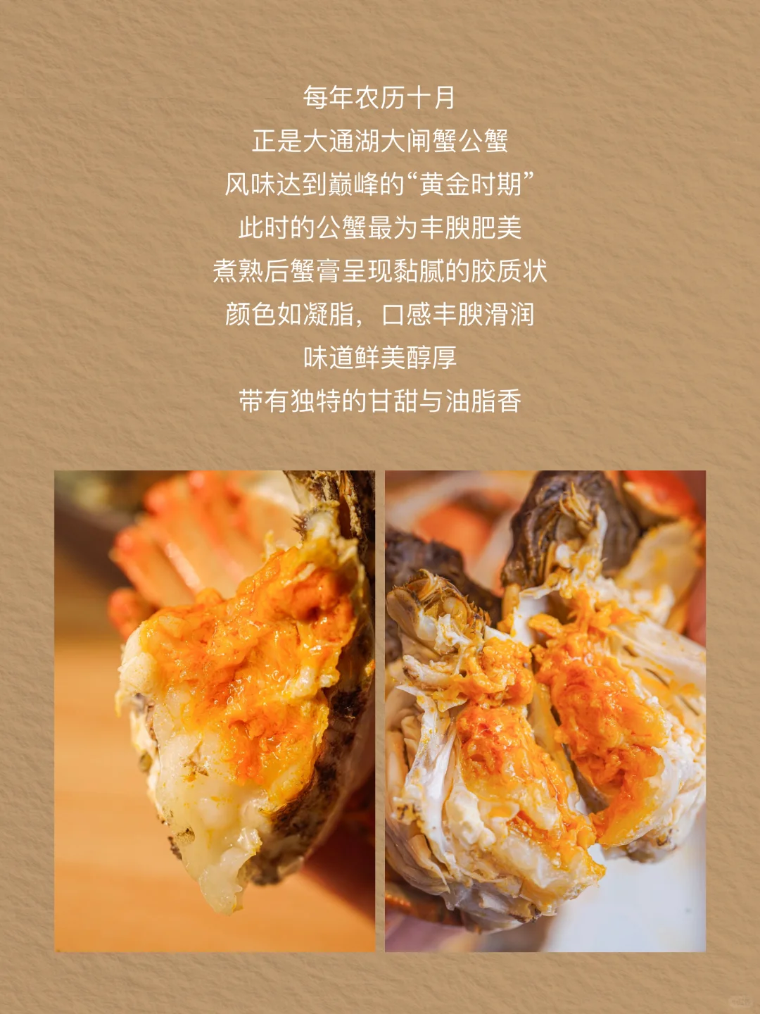 是谁还没抓住蟹季的尾巴？快！