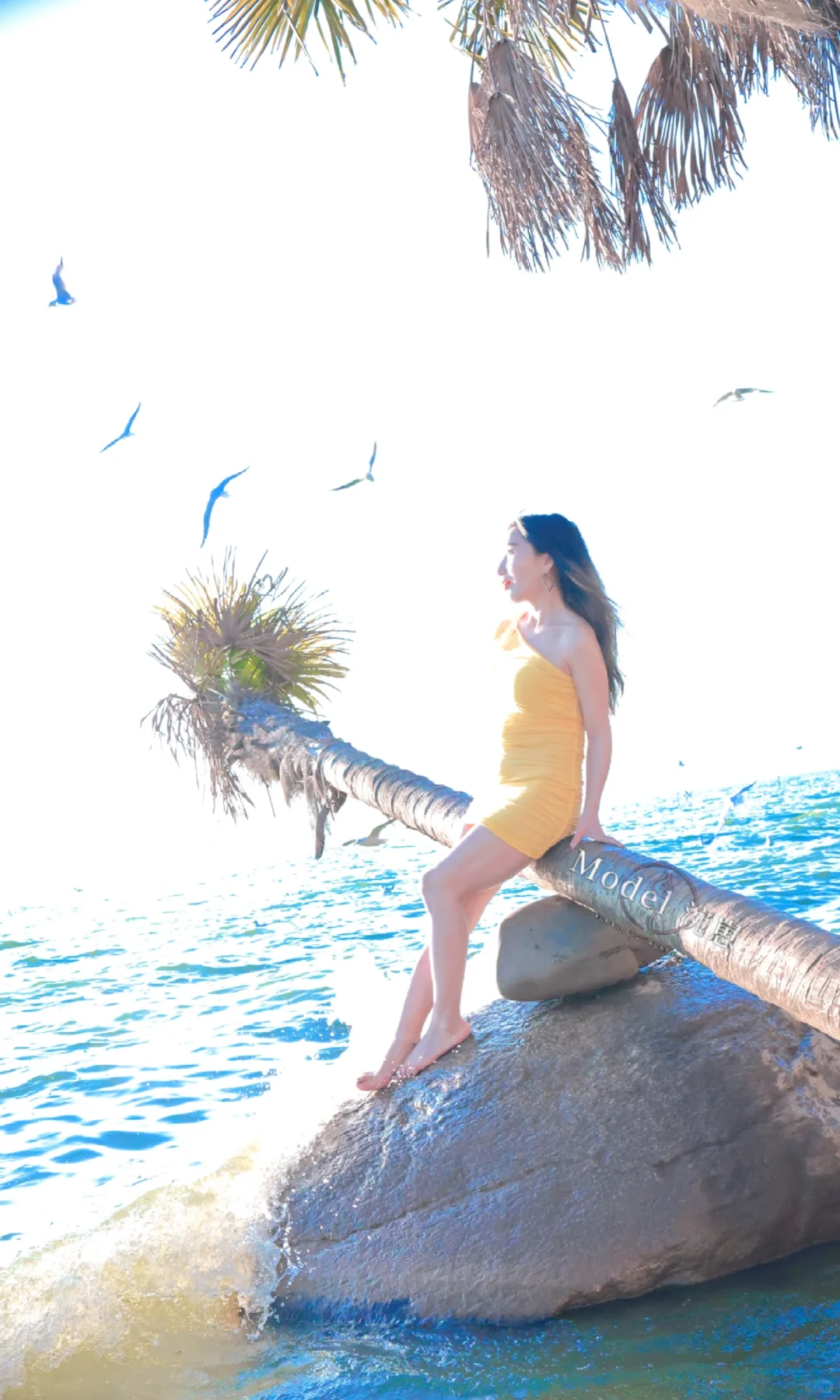 🏝️༉‧姐感甜御风媚女已刻入骨髓🌊º