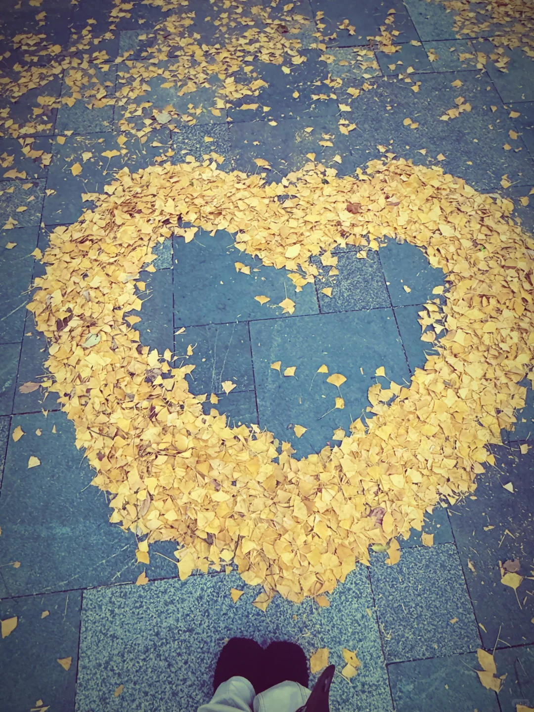 姐味儿狠重、、